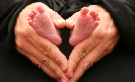 Image Daddy's Hand Holds Baby's Feet