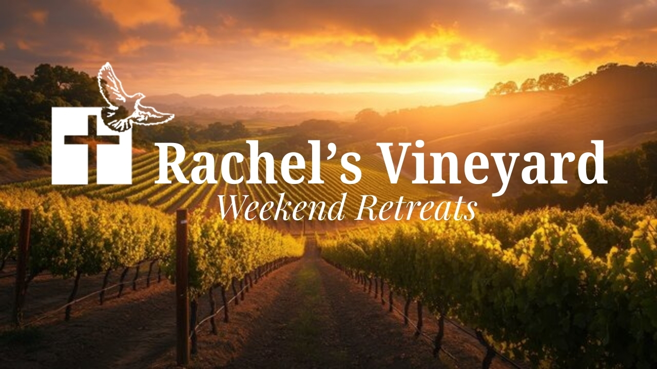 Rachel’s Vineyard Retreat (English)